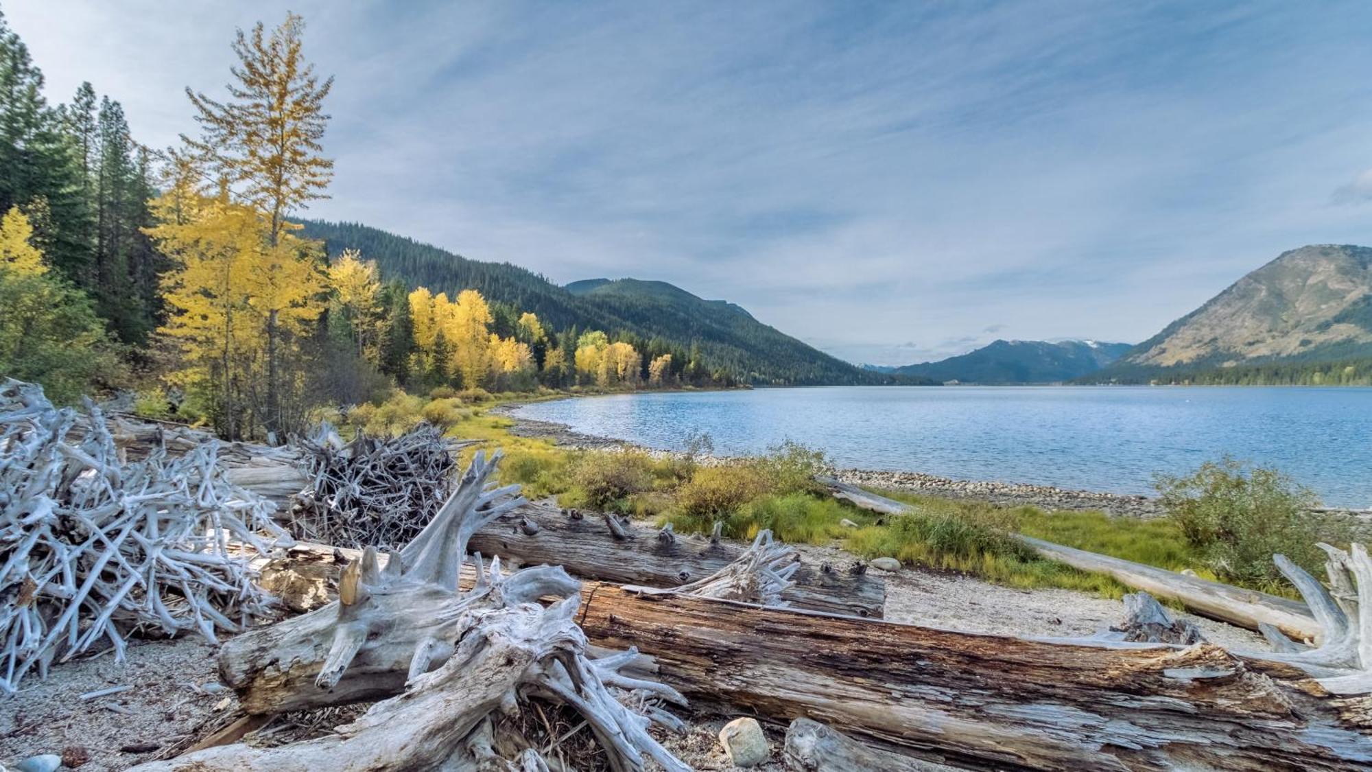 Doc Roy'S Legacy On Fish Lake By Nw Comfy Cabins Левънуърт Екстериор снимка